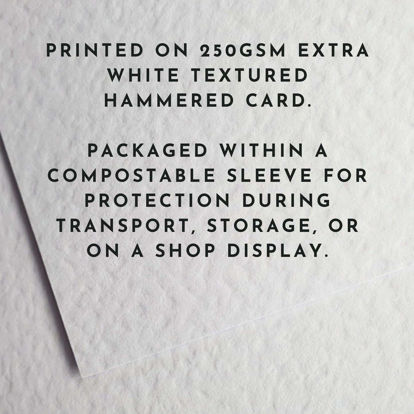 Capy Birthday Party Capybara Greetings Card | Personalised Card | Cute Birthday Card | Wife Birthday Card | Husband Birthday Card |