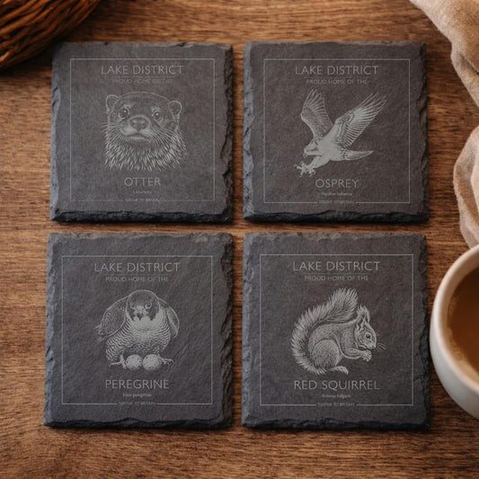 Lake District British Wildlife Slate Coaster Set, Native Birds of Prey & Wildlife Watching Gift, Farmhouse homeware