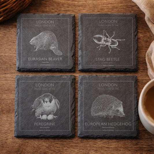 London British Wildlife Slate Coaster Set, Native Birds of Prey & Wildlife Watching Gift, Farmhouse Homeware