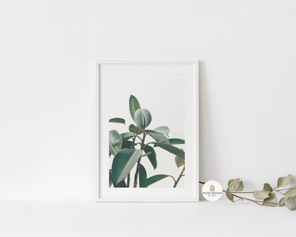 Bay Leaf Photography Wall Art Print | Unframed Print