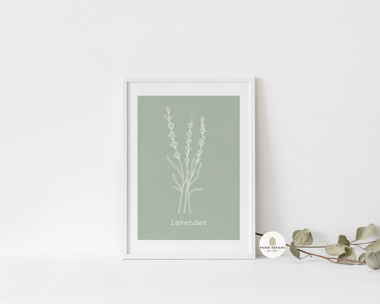 Lavender Herb Line Drawing Wall Art Print | Unframed Print