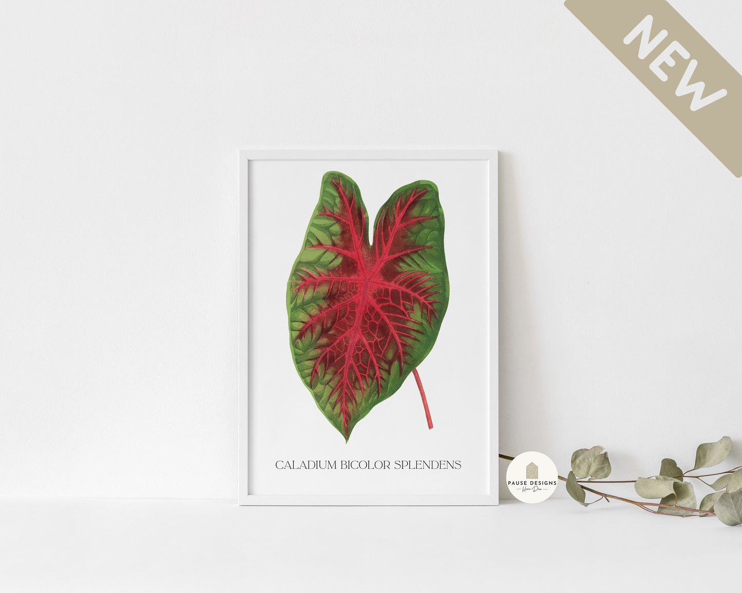 Botanical Green Caladium Bicolor Splendens Leaf Wall Art Print | UNFRAMED PRINT | Botanical Wall Art | Home Décor | Living Room | Bedroom