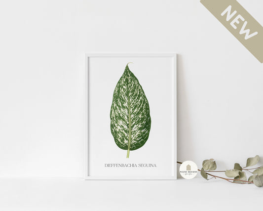 Botanical Green Dieffenbachia Seguina Leaf Wall Art Print | UNFRAMED PRINT | Botanical Wall Art | Home Décor | Living Room | Bedroom