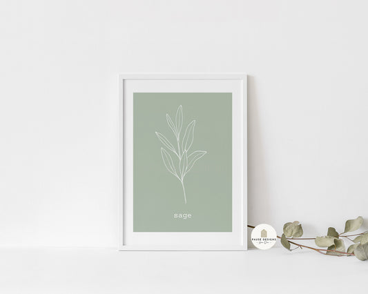 Sage Herb Line Drawing Wall Art Print | Unframed Print