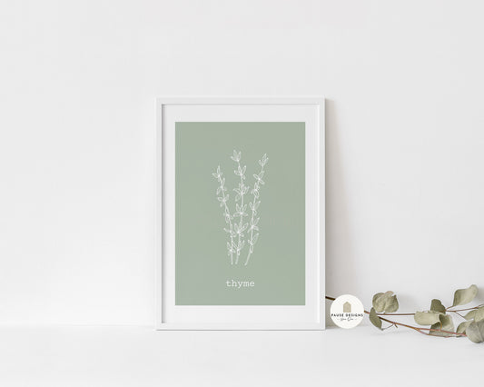 Thyme Herb Line Drawing Wall Art Print | Unframed Print